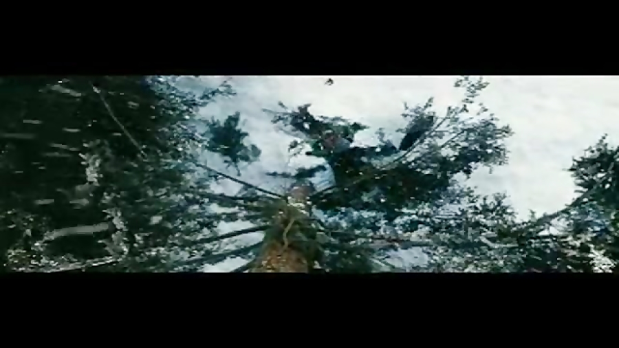 گرگ های وحشی