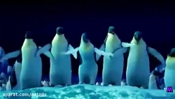 The Penguin Song Happy Birthda...