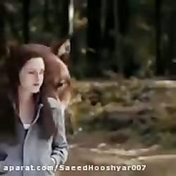 پشت صحنه گرگ و میش