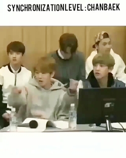 اکسو هماهنگی چانبک