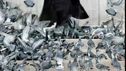 آهنگ جدید کاظم بذرافکن بنام عف...