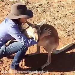 محبت، زبان مشترك