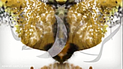 نمونه تیزر تبلیغاتی - شرکت ثبت...