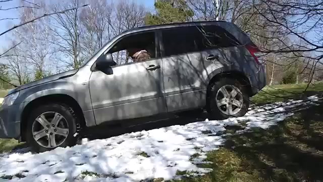 Suzuki Grand Vitara پاکسازی پوست