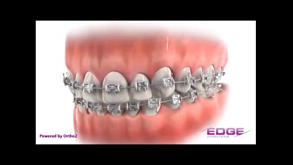 ارتودنسی دکتر سهیل سالاری