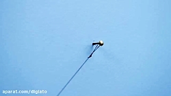 ربات Scribit دیوارها را به آثا...