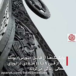 واکینگها و قلمرو تشیع