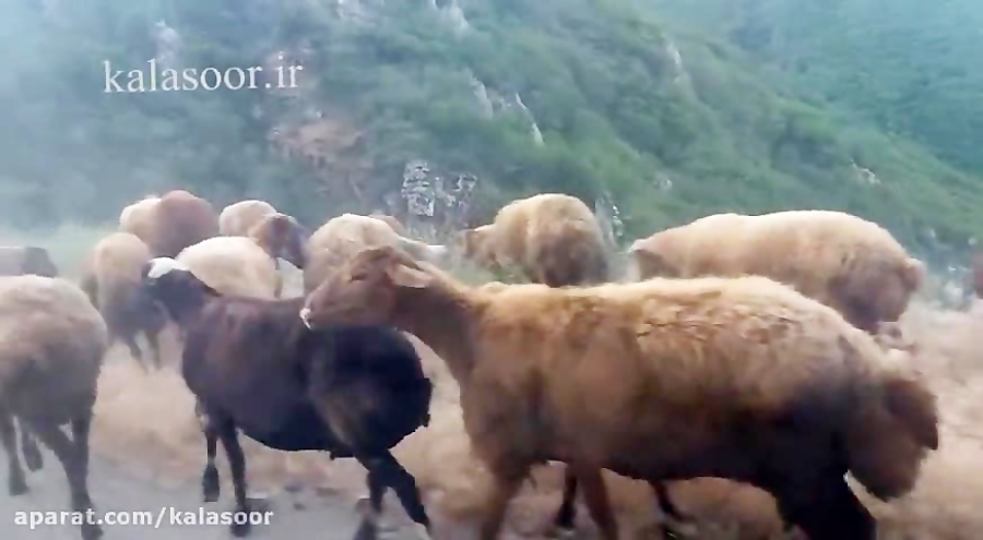 جاده روستای کلاثور