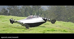 پرنده سیاه  Black Fly