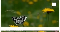 شعرخوانی محمدحسین ملکیان شعر(ر...