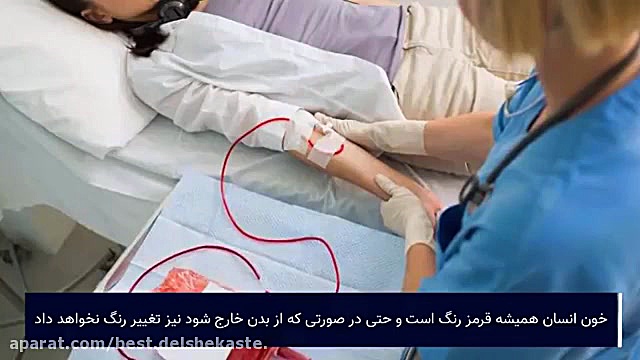 چرا خون قرمزه اما رگ آبی است؟ Top 10 farsi زمان138ثانیه