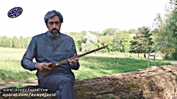 تصنیف طاووس زیبا با صدای حمیدر...