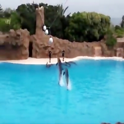 لختی برای استراحت حرکات زیبای...