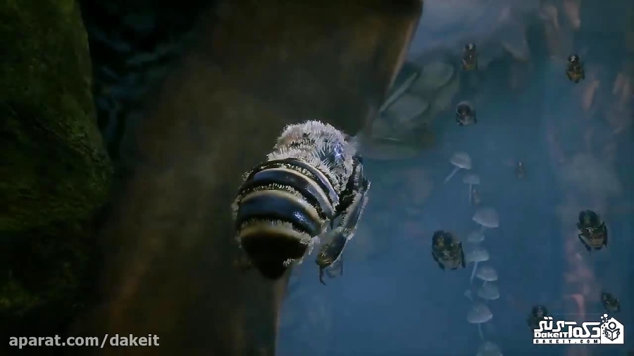 تریلر بازی Bee Simulator