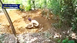 آموزش ساخت یک حوض ماهی با حداق...