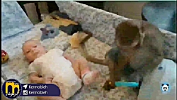 این داستان اسباب بازی چینی