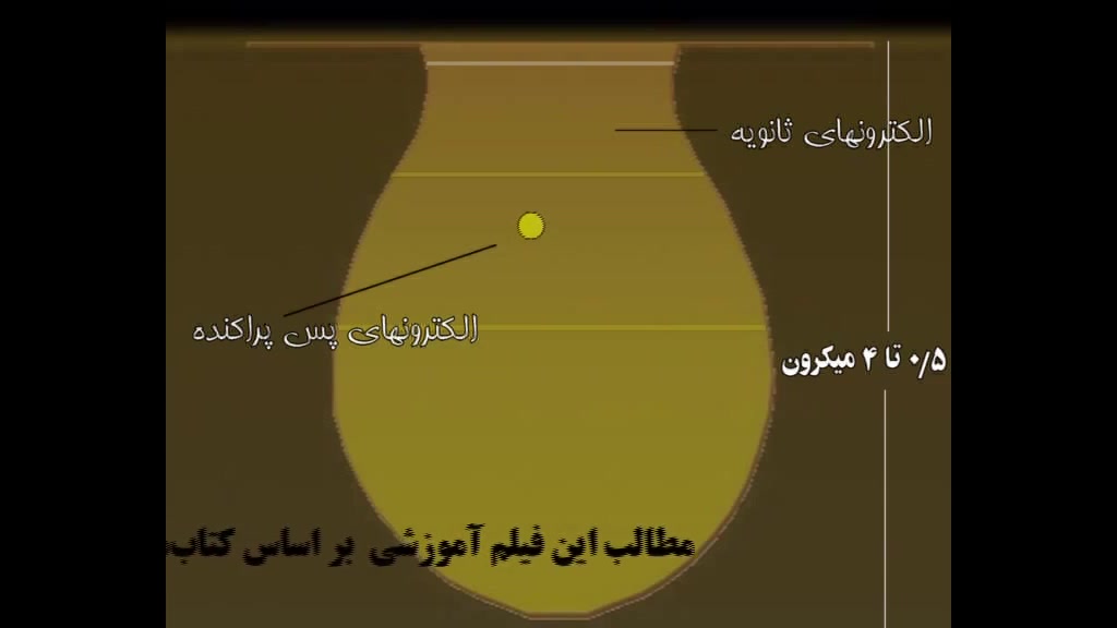 SEM نوید محمدزاده