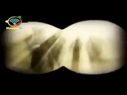 شهدا.شلحشور