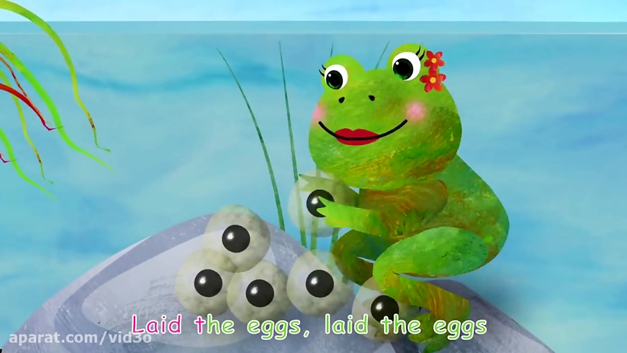 Frog Song (Life Cycle Of A Frog) Nursery Rhymes Kids Songs