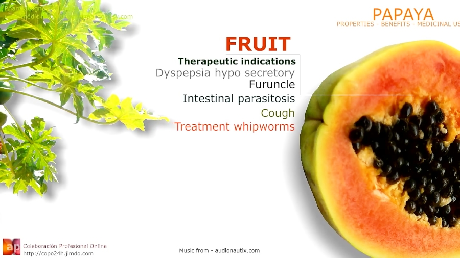 Papaya benefits. Properties and medicinal uses of Papaya tree, leaves