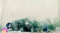سربازی دخترا سربازی دخترا