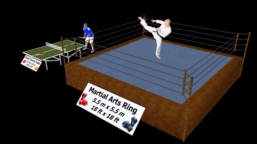 Sports Arena Size Comparison