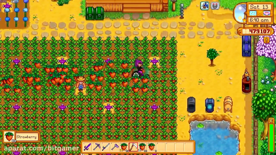 Stardew Valley gameplay