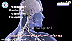 چرا گاهی اوقات بدنمان درد می ک...