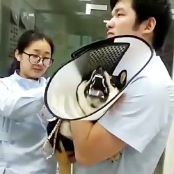 مگه نمیگن امپول درد نداره