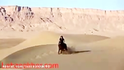 شهر زیبای یزد