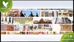 دفاتر شرکت فوراور لیوینگ