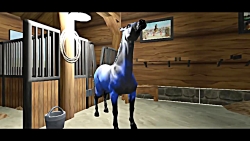 Horse Academy Trailer