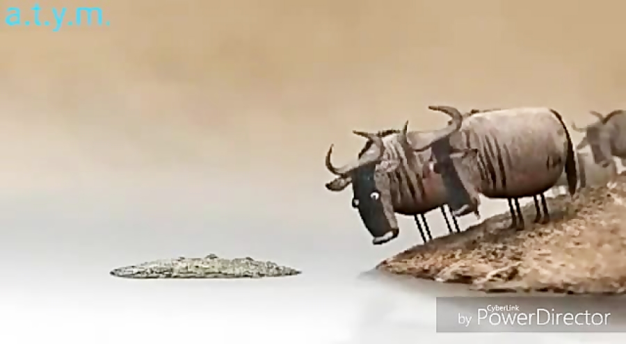 بلوچی دوبله خخخ