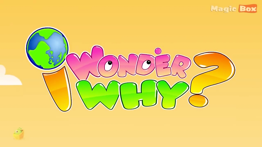 Why Do Flowers Have Different Colours? I Wonder Why Amazing