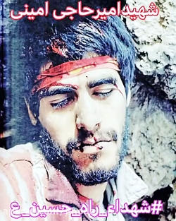 شهدا برای چی رفتن؟