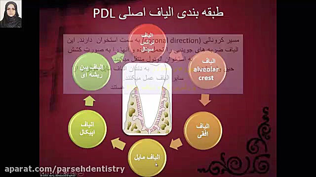 تطابق با آزمون 97 - درس پریودانتیکس - سوال 111 عمل زیبایی
