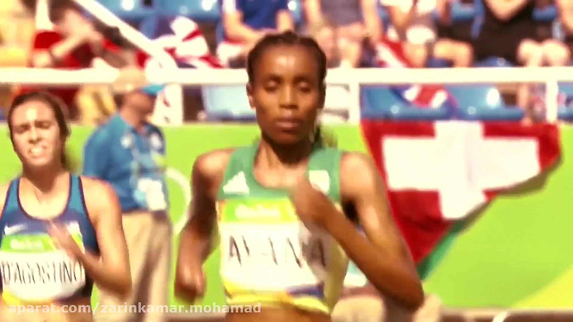 zarinkamarmohamadreza