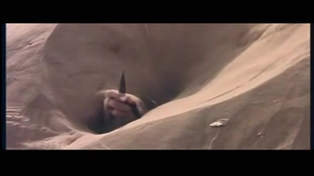 دانلود سکانسی از فیلم پروانه ای در باد زمان340ثانیه