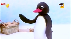 انیمیشن پینگو  قسمت ۲۳۸