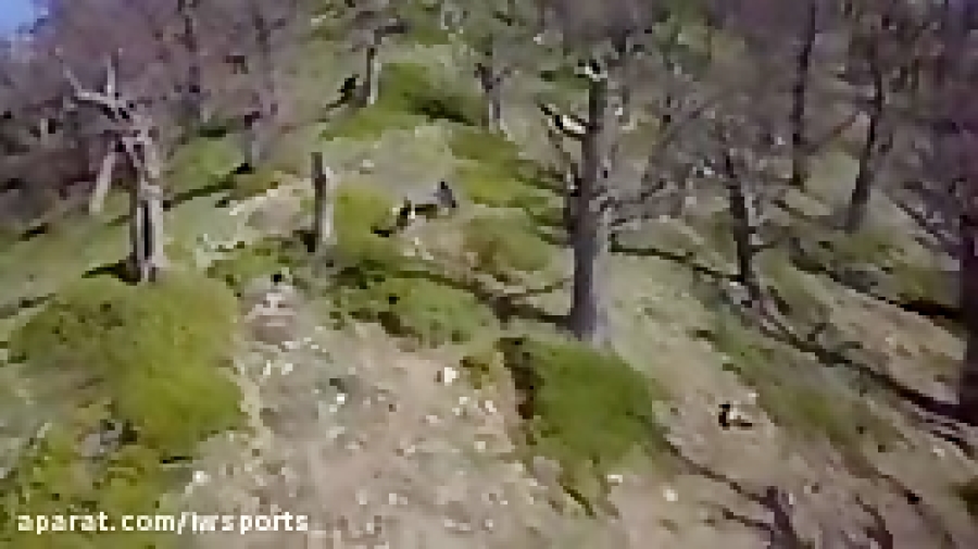 تیزر مستند Free Riding Iran