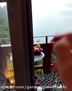صبحونه سوئیسی