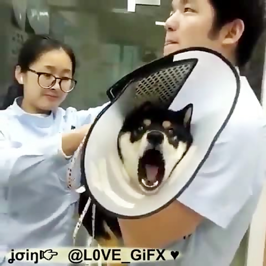 قابل توجه کسایی که میگن امپول...