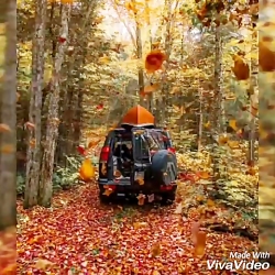 آرمین کریمی_دکلمه عاشقانه