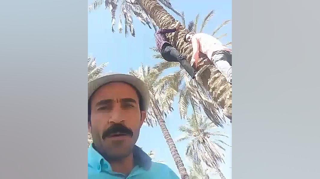 نمودار , رشد , طلا , دلار , رسم