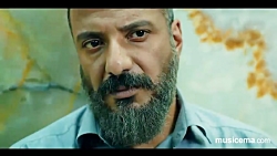 «سوفی و دیوانه» از...