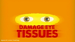 چشم چگونه کار می کند