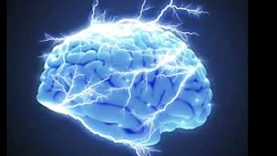 تنها راز  خوشبختی