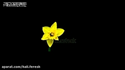 کلیپ کوتاه عاشقانه …