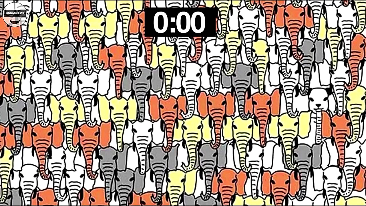 اگر به 13 تا از این 15 سوال پاسخ درست بدهید. شما از انیشتین باهوش ترید هایفوتراپی