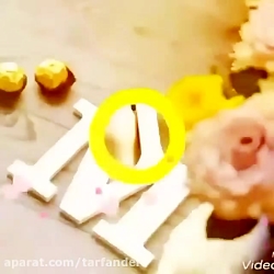 کلیپ اسم m (زیبا)